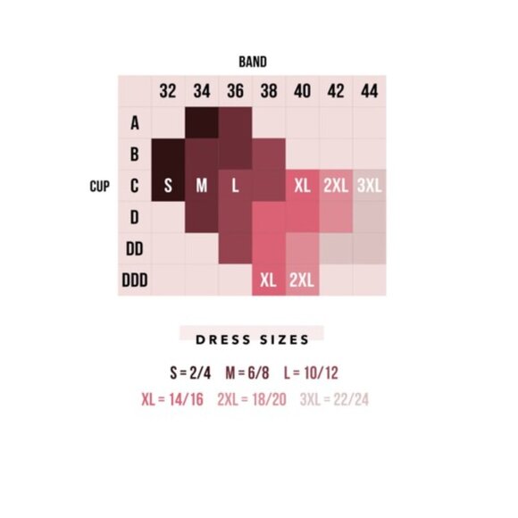 Smart & Sexy Signature Lace Deep V Bralette Size XL- 2 Pack- Black & Beige- NWT - Picture 4 of 4